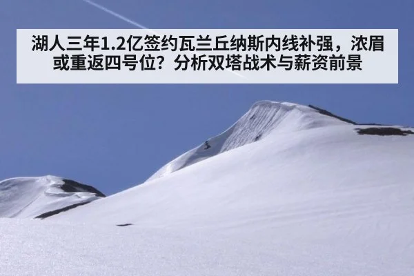 湖人三年1.2亿签约瓦兰丘纳斯内线补强，浓眉或重返四号位？分析双塔战术与薪资前景