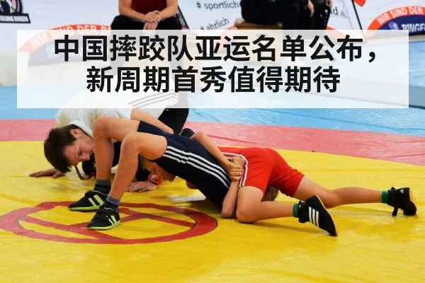 Chinese wrestling team