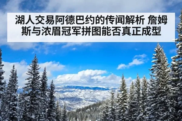 湖人交易阿德巴约的传闻解析 詹姆斯与浓眉冠军拼图能否真正成型