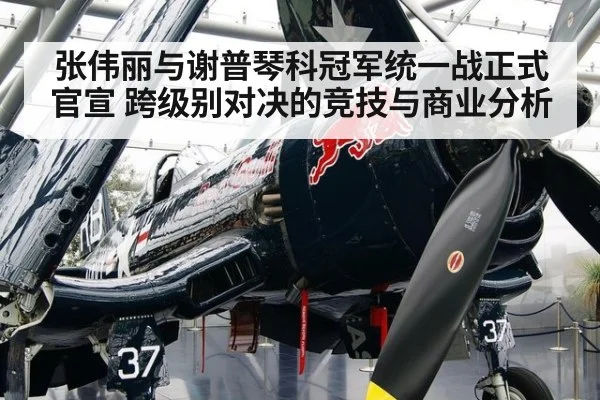 张伟丽与谢普琴科冠军统一战正式官宣 跨级别对决的竞技与商业分析